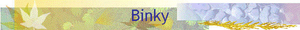 Binky
